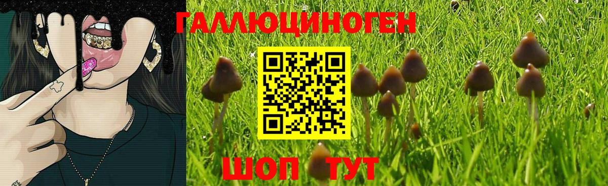Саки  Псилоцибиновые грибы Cubensis  Галлюциногенные грибы Magic Shrooms  Вход с VPN 